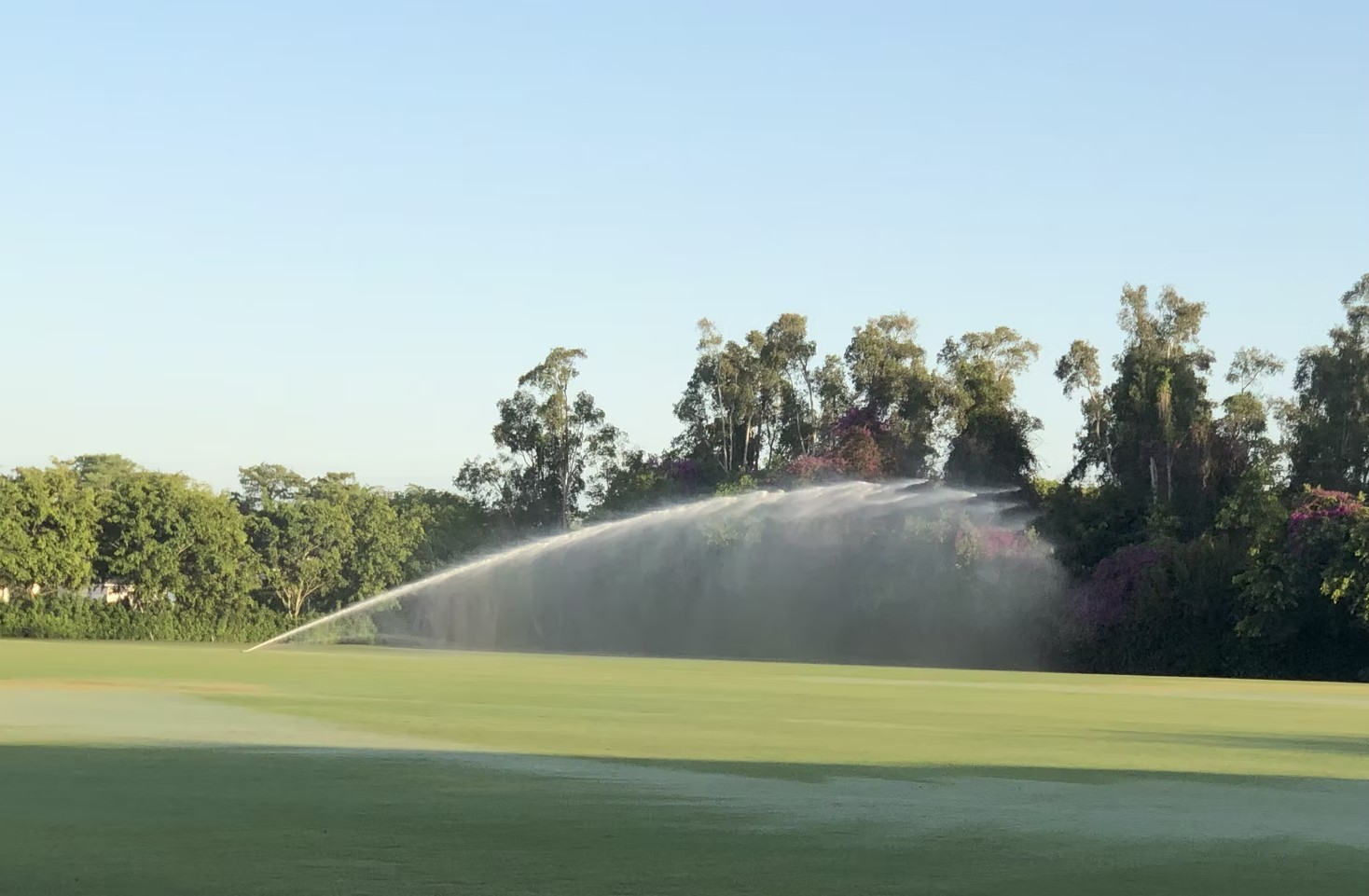 Irrigation system in operation