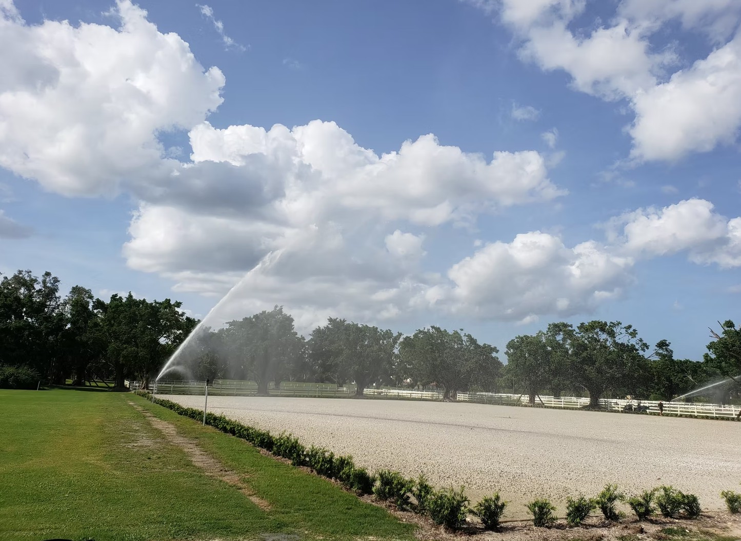 Commercial irrigation site